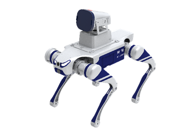 ���������е��